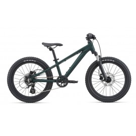 Giant STP20''